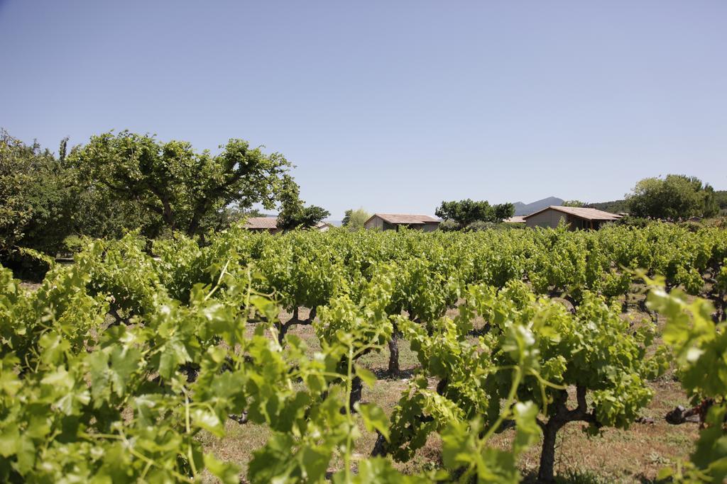 Domaine des Bridoux Village de Gîtes Mirabel-aux-Baronnies Extérieur photo